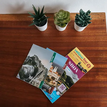 Daniela's 301 Lisboa